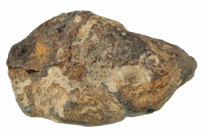 Agoudal Iron Meteorite ( g) - Morocco #245613